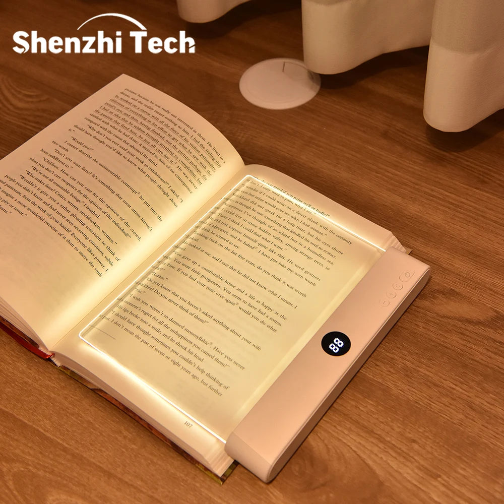 LED Reading Light portable