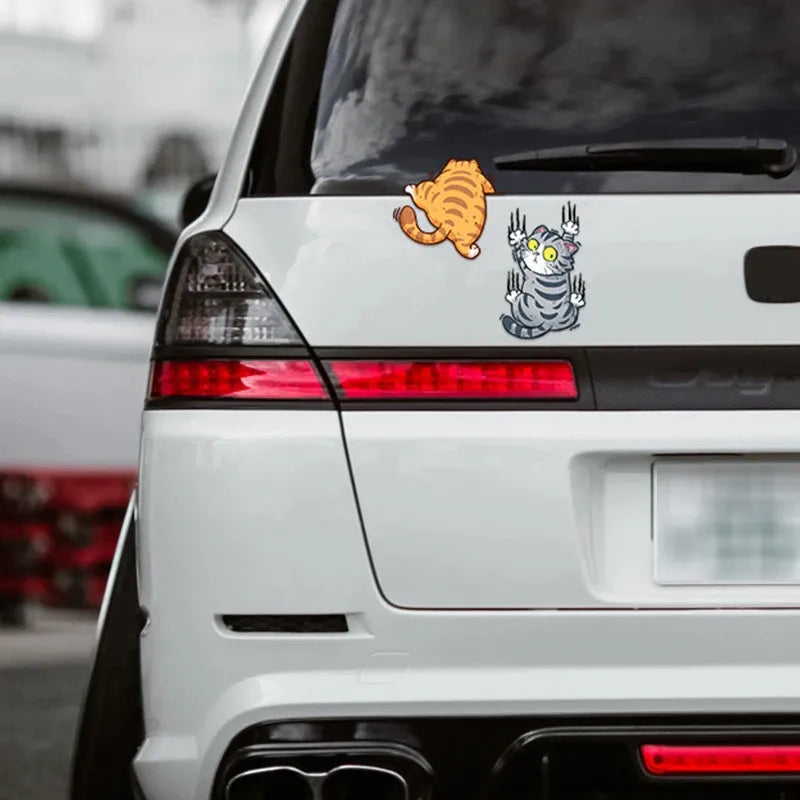 Cat car sticker